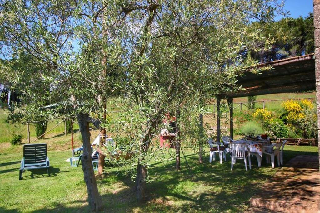 Agriturismo Bellavista Radicondoli Exterior photo